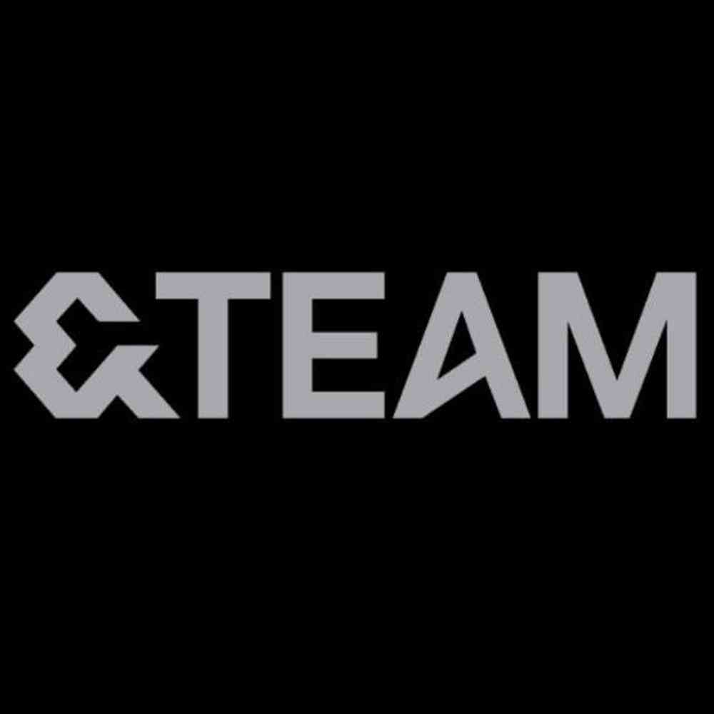 & team logo pyoni store